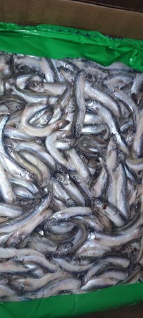 Мойва морож. 30-40, Фарерские острова, 1*18,5;